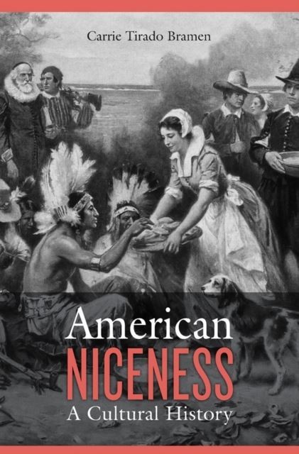 American Niceness main product photo
