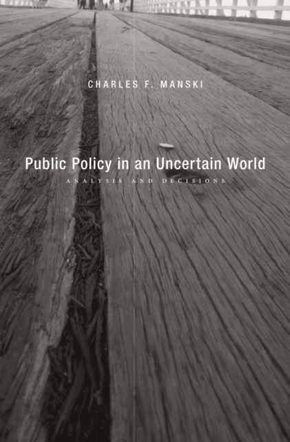 Public Policy in an Uncertain World main product photo