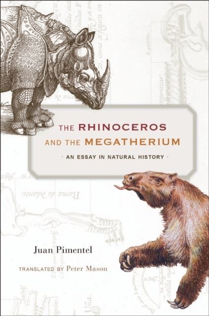 Rhinoceros and the Megatherium main product photo