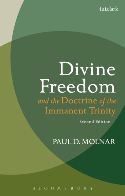 Divine Freedom and the Doctrine of the Immanent Trinity main product photo