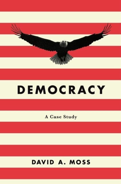 Democracy main product photo