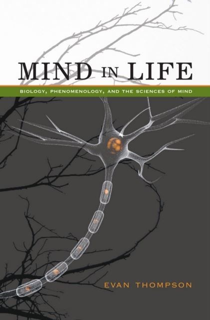 Mind in Life main product photo