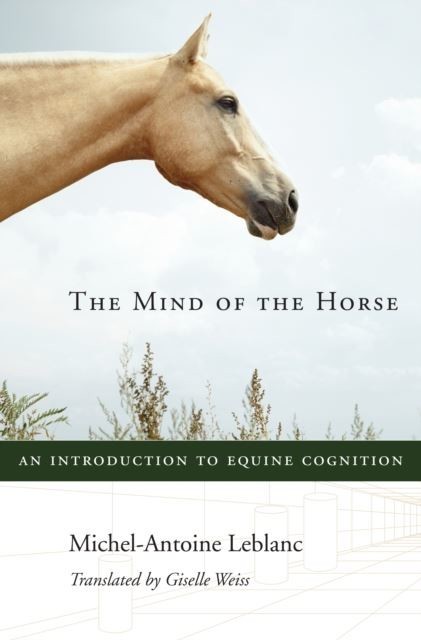 Mind of the Horse main product photo