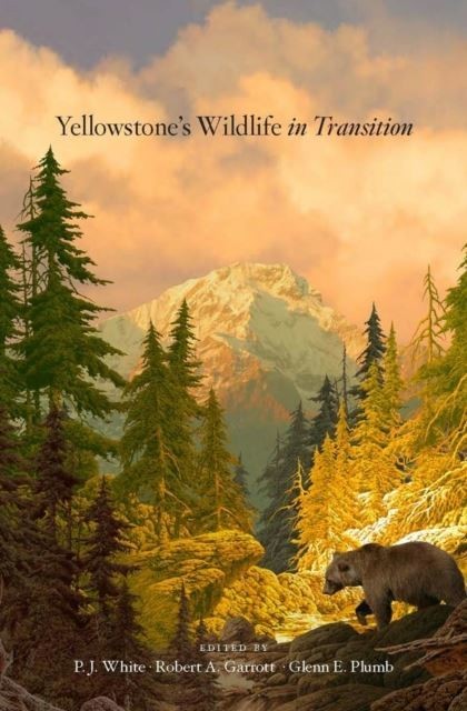 Yellowstone's Wildlife in Transition main product photo