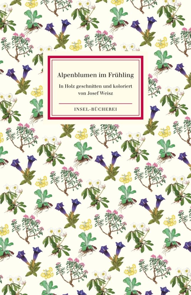 Alpenblumen im Frühling main product photo