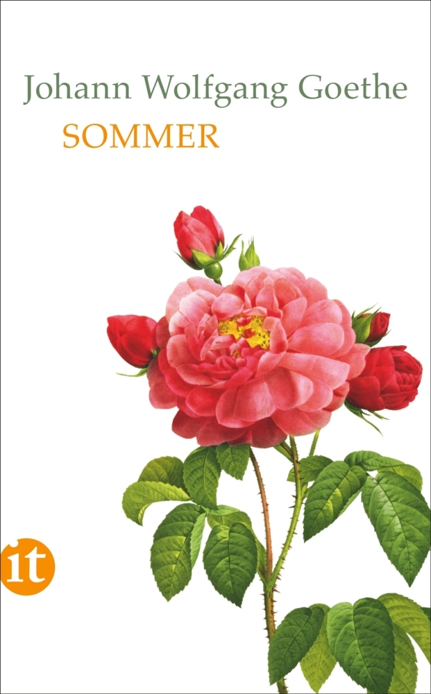 Sommer main product photo