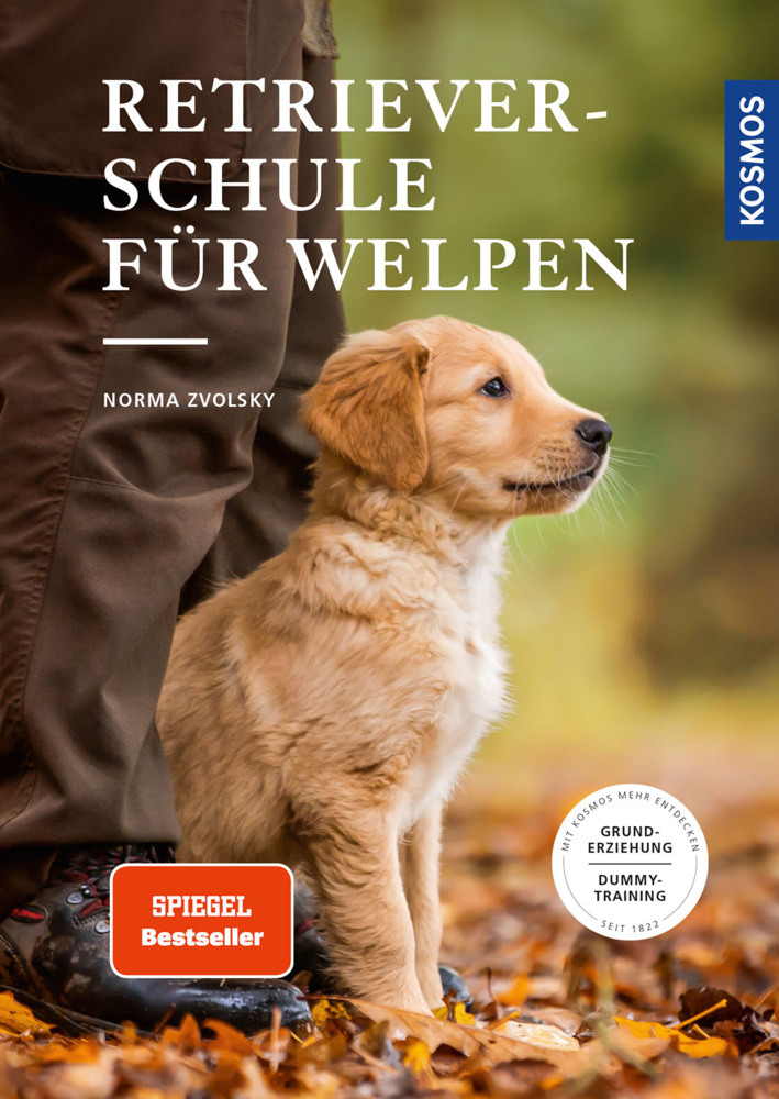 Retrieverschule für Welpen main product photo