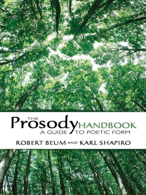 Prosody Handbook main product photo