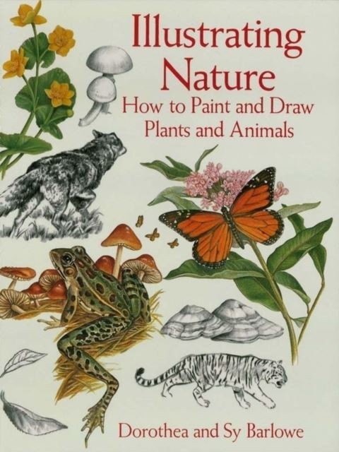Illustrating Nature main product photo