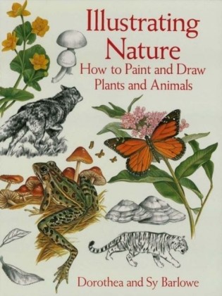 Illustrating Nature
