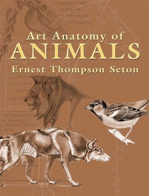 Art Anatomy of Animals main product photo