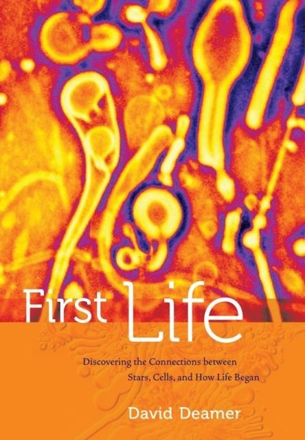 First Life main product photo