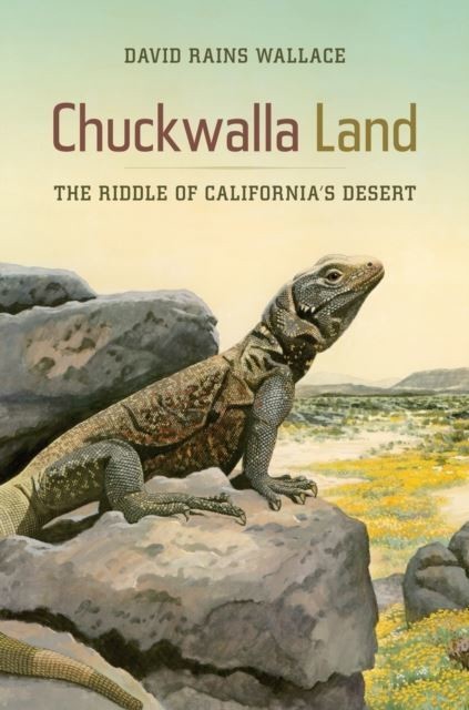 Chuckwalla Land main product photo