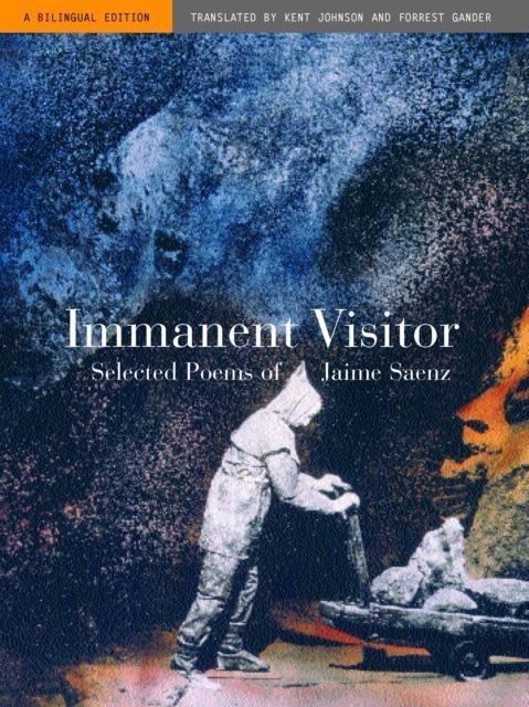 Immanent Visitor main product photo
