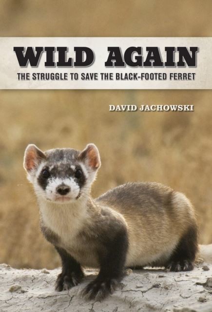 Wild Again main product photo