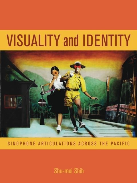 Visuality and Identity main product photo