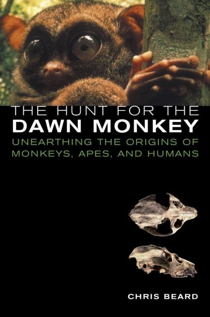 Hunt for the Dawn Monkey main product photo