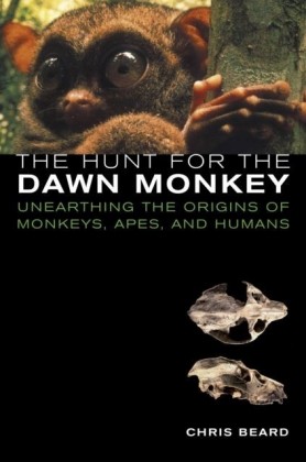 Hunt for the Dawn Monkey