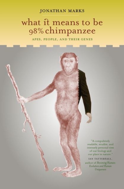 What It Means to Be 98% Chimpanzee main product photo