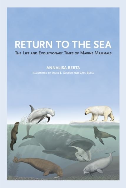 Return to the Sea main product photo