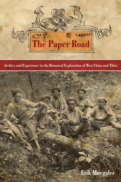 Paper Road main product photo