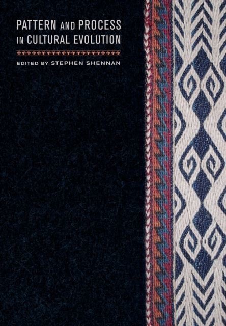 Pattern and Process in Cultural Evolution main product photo