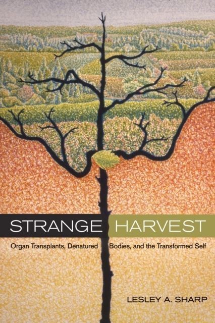 Strange Harvest main product photo
