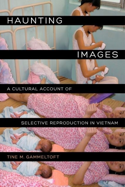Haunting Images main product photo