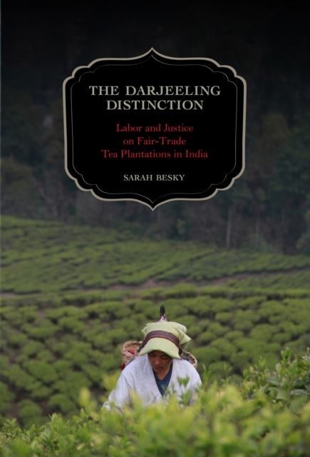 Darjeeling Distinction main product photo