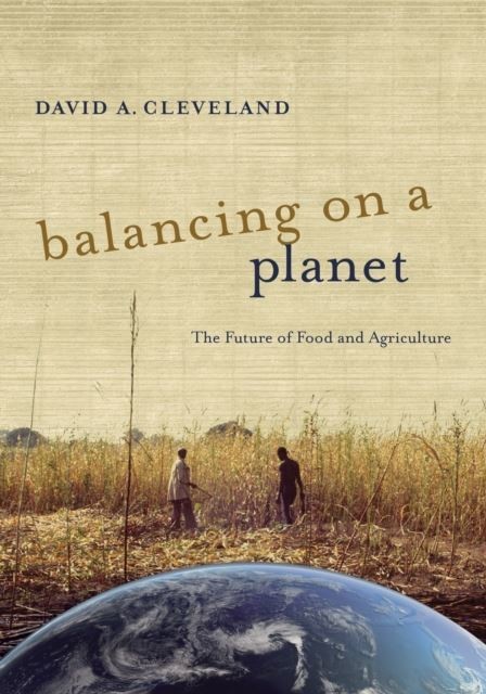 Balancing on a Planet main product photo