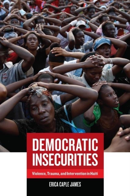 Democratic Insecurities main product photo