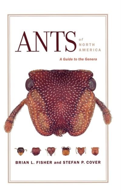 Ants of North America main product photo