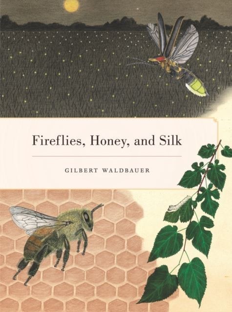 Fireflies, Honey, and Silk main product photo