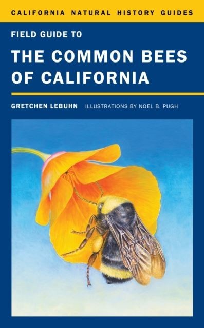 Field Guide to the Common Bees of California main product photo