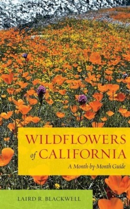 Wildflowers of California