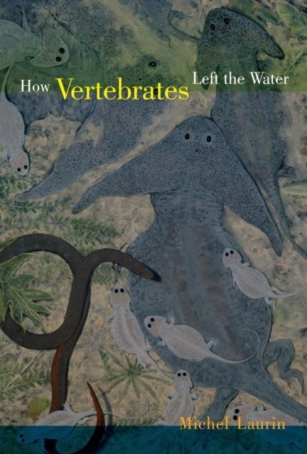 How Vertebrates Left the Water main product photo