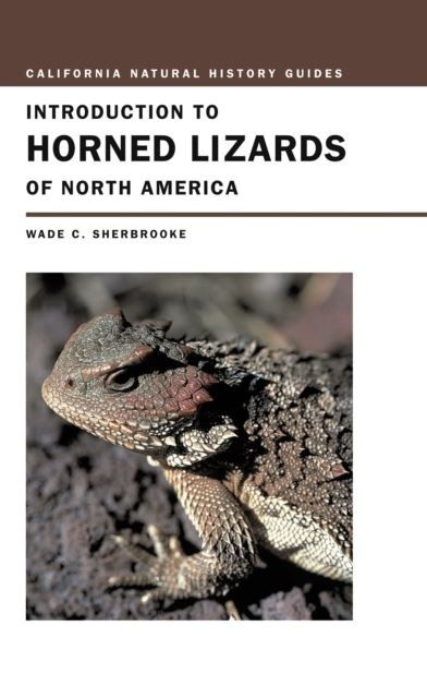 Introduction to Horned Lizards of North America main product photo
