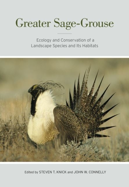 Greater Sage-Grouse main product photo