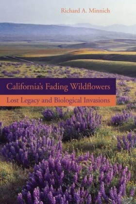 California's Fading Wildflowers