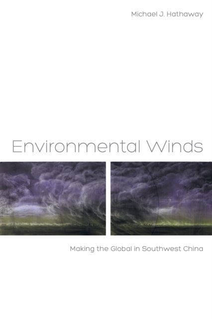 Environmental Winds main product photo