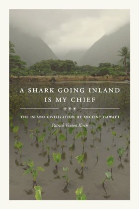 Shark Going Inland Is My Chief