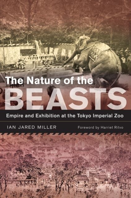 Nature of the Beasts main product photo