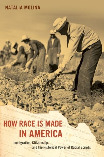 How Race Is Made in America main product photo