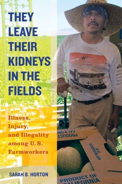 They Leave Their Kidneys in the Fields main product photo