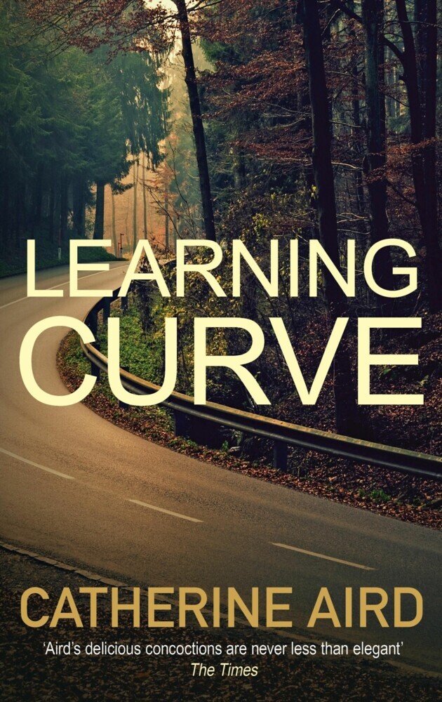 Learning Curve main product photo