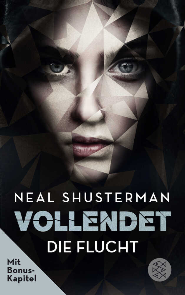 Vollendet - Die Flucht main product photo