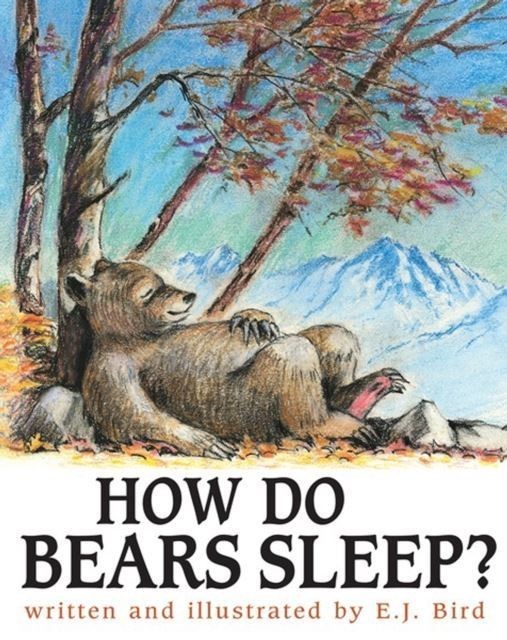 How Do Bears Sleep? main product photo