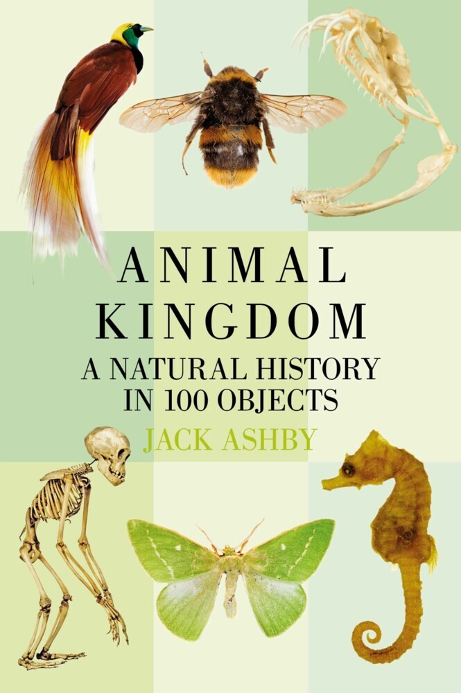 Animal Kingdom main product photo
