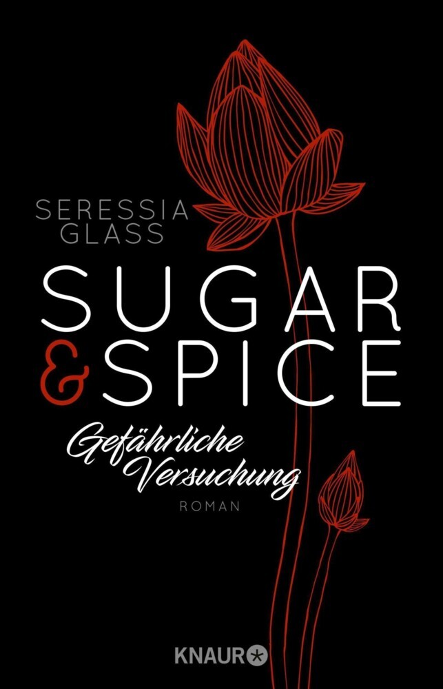 Sugar & Spice - Gefährliche Versuchung main product photo