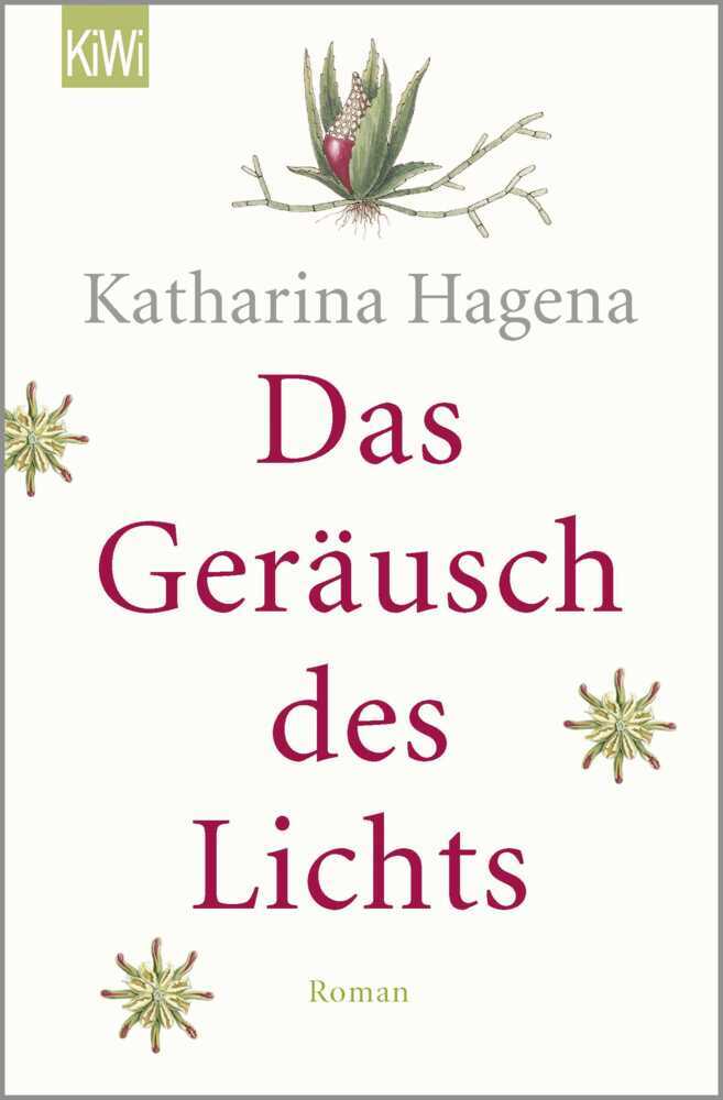 Das Geräusch des Lichts main product photo